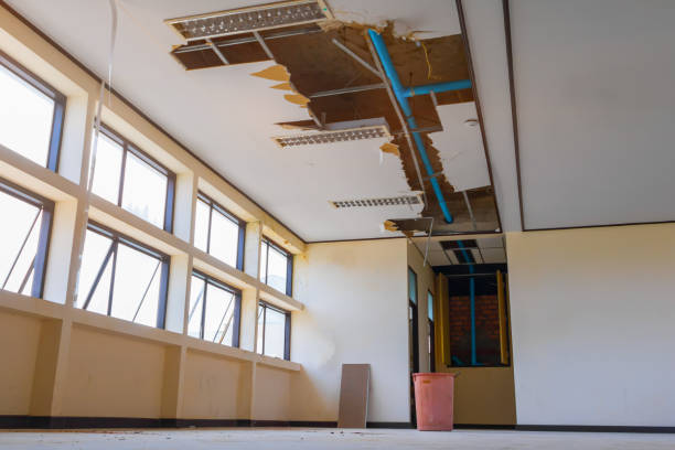 Local water damage restoration in Elgin, MN