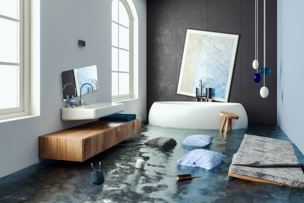Best Water damage restoration specialists  in Elgin, MN