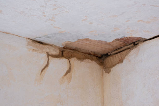 Water damage restoration process in Elgin, MN