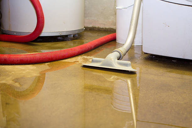 Best 24/7 water damage repair  in Elgin, MN